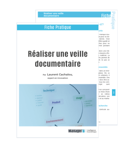 Comment R Aliser Une Veille Documentaire Pdf T L Charger