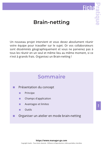 Brain-netting : brainstormer à distance-3