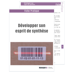 Développer son esprit de synthèse