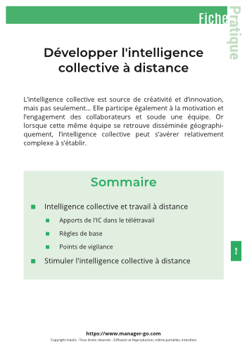 Développer l'intelligence collective à distance-3