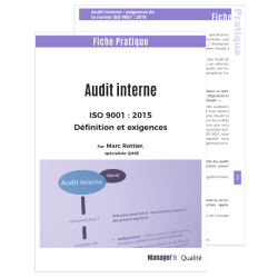 Audit interne qualité :...