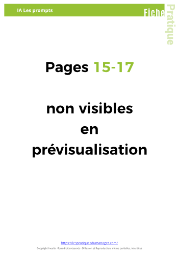 Kit Modèle de Prompt complet + Bonus + maj 1an-13