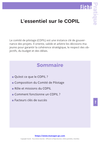 Le comité de pilotage ou COPIL-3