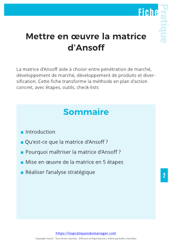 Matrice Ansoff-3