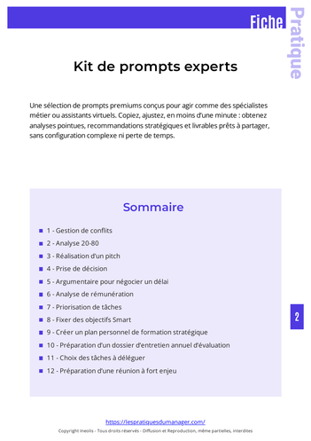 KIT IA pour managers et consultants + maj 1an-20
