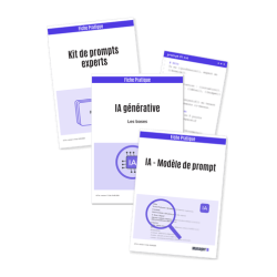 KIT IA pour managers et consultants - prompts offerts + maj 1an