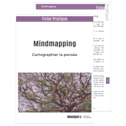 Cartographier la pensée avec le MindMapping